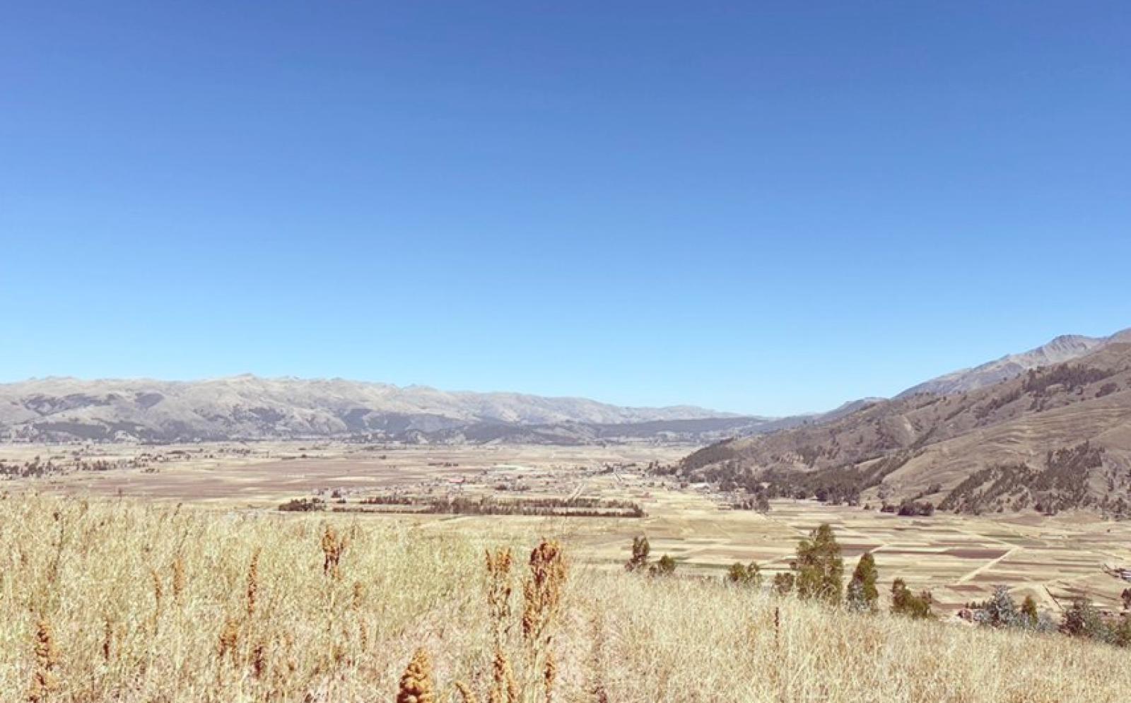 ペルーでインカ考古学 N.F. ペルーでインカ考古学 N.F.